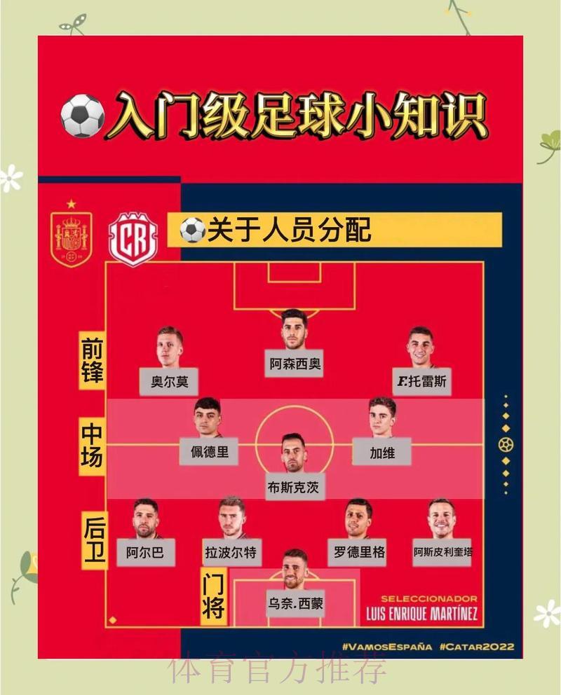 世界杯赛事深度剖析与全方位推荐指南